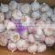 Shandong Natural Good Quality And Low Price Fresh Garlic