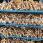 Chinese Bulk Fresh Ginger