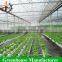 Hot sale venlo type aluminum profile greenhouse for plant