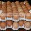 Bangchi 42-cell Plastic Chicken Egg Tray