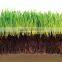Amino Acid Organic Fertilizer Raw Material