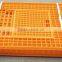 Plastic animal transport box for poultry chickens