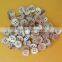 Hot sales natural trocas shell custom shirt button