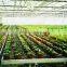Arrow Dripping Irrigation System