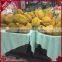wholesale Cheap fruit and vegetable display stand