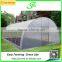 Galvanized Water Pipes Tunnel Greenhouse for Sale