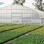 tunnel greenhouse