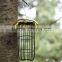 Bird Feeder