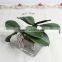 SJ10131028 artificial orchid leaf/fake phalaenopsis orchid flower leaves