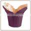 Colourful Indoor Decoration kraft paper flower pot