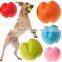 Hot selling eco-frirndly plastic eva pet dog ball
