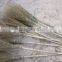 natural bamboo brooms,brooms with length handle