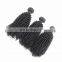 Youth Beauty Hair 2017 best saliing 9A peruvian virgin human hair weaving in kinky curly cuticle aligned hair