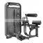 China Cheap Product Exercise Machine Back Extension Fitness Gym Equipment