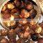 Premium Quality Soapnut Shell At Your Door Step