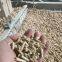 wood pellets     China  Suzhou Honeycomb Biotechnology Co., Ltd