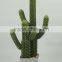 Factory direct selling fake cactus wholesale