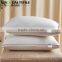 Luxury 100% Pure Silk And Polyester Mixed Pillow With Jacquard Silk Fabrc Shell