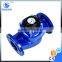 WS 50~150Vertical Vane Wheel Woltman Direct Reading Magnetic Detachable Mechanical Cast Iron Industrial Woltman Flow Water Meter