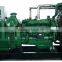 Green Power Natural Gas Generator