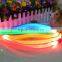 LED Pet Leash