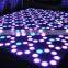 2015 hot selling DMX controlled dance floor,portable cheap led flower dance floor,dance floor