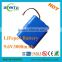 Hot Sell LiFePO4 3000mAh 9.6V Battery Pack for Solar Lighting