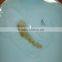 Longquan celadon Hand - bottle of Oujiang color common carp gifts