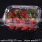 SZ-Y-300 plastic strawberry /blueberry fresh /dried fruit container