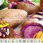 best selling roast sweet potato machine, cheap price roast sweet potato machine, snack machine on sale