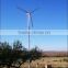 domestic 5KW wind mill 5000W wind power generator wind turbine for home