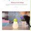 USB 5V desktop air humidifier / pumpkin diffuser air purifier /humidifier with LED light for home