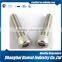 Gr5 Titanium Screw Bolt M6x16 Din7984