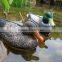 SUPPLY hunting decoys,duck decoys ,XPE duck decoys ,decoys for duck ,floating hunting duck decoys wholesale &OEM