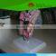 Medical model for biology Colon and rectum common disease model