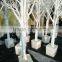 Best sale trees for indoor wedding decoration