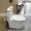 Siphonic One Piece Water Closet