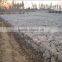 gabion mesh boxes 80X100mm;gabion mesh