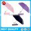 duck head special handle umbrella,2 fold auto open umbrella