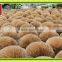 round bamboo stick supplier from China