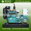 China Supplier Gas Generator Biogas Engine Unit