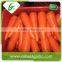 Fruits and vegetables import fresh carrot exporter