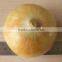 2015 Crop Fresh Yellow Onions With Market Price