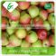Fruit market prices fresh sweet royal gala apple