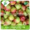New crop delicious fresh royal gala apples