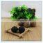 Transparent Canned Packed Aged Black Garlic Extract Powder
