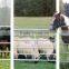 Heavy Duty Cattle Corral Panel Horse Fence