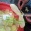 high efficiency potato peeling cutting machine/potato slicing machine