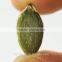 china white pumpkin seeds price