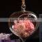 clear glass Vase glass Landscape bottle 2 sizes hanging available
